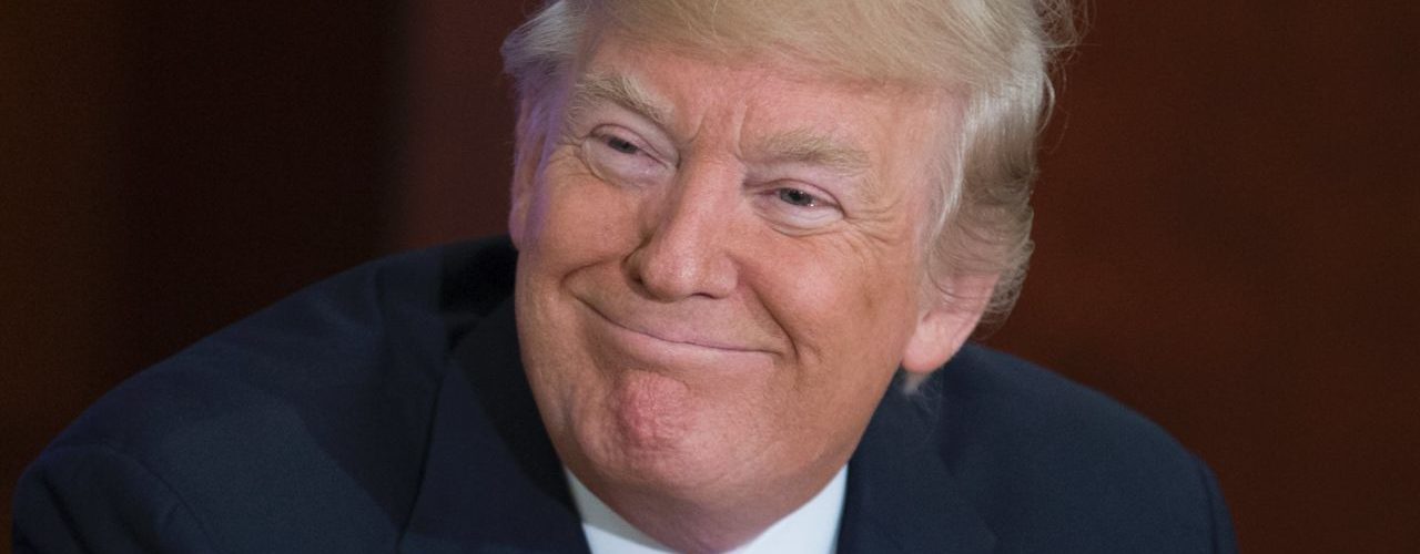 Why the midterms are going to be great for Donald Trump