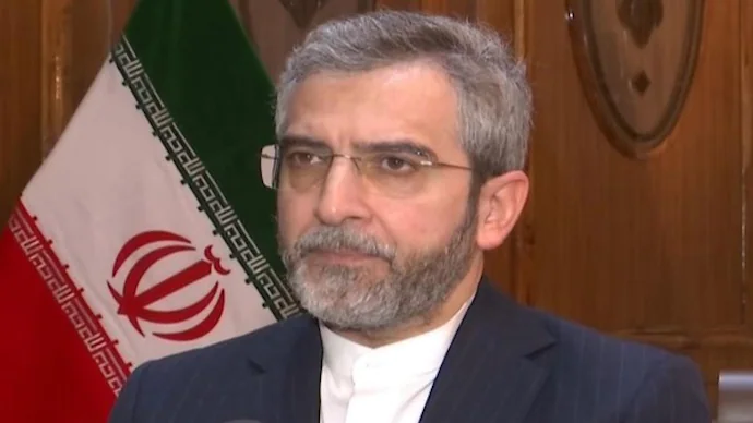 Mahsa Amini wasn't killed: Iran minister on death of 22-year-old in custody